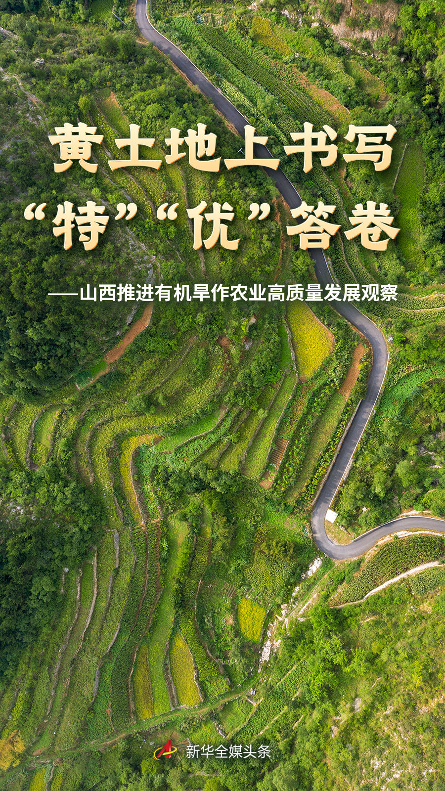 麻将胡了